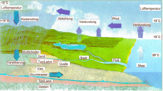 Adaprtierte Grafik des Wasserkreislaufs