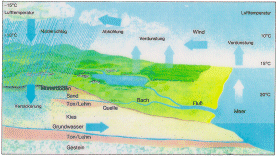 Originalbild Schema des Wasserkreislaufs im Querschnitt durch Land und Küste